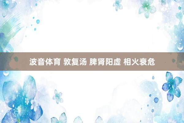 波音体育 敦复汤 脾肾阳虚 相火衰危