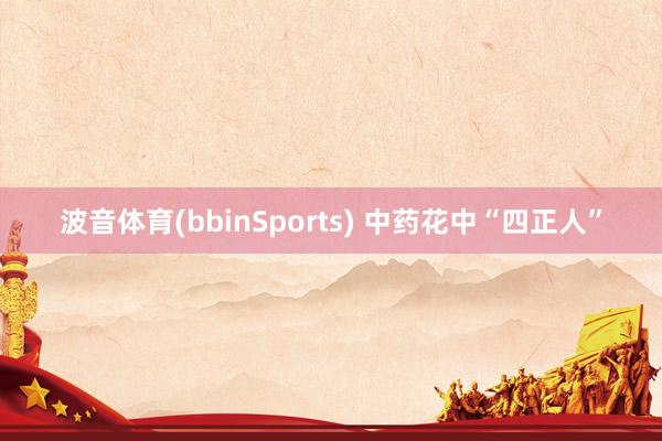 波音体育(bbinSports) 中药花中“四正人”