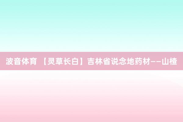 波音体育 【灵草长白】吉林省说念地药材——山楂