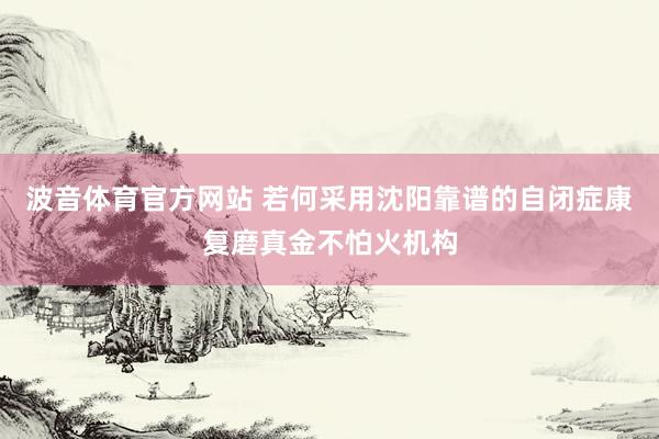 波音体育官方网站 若何采用沈阳靠谱的自闭症康复磨真金不怕火机构
