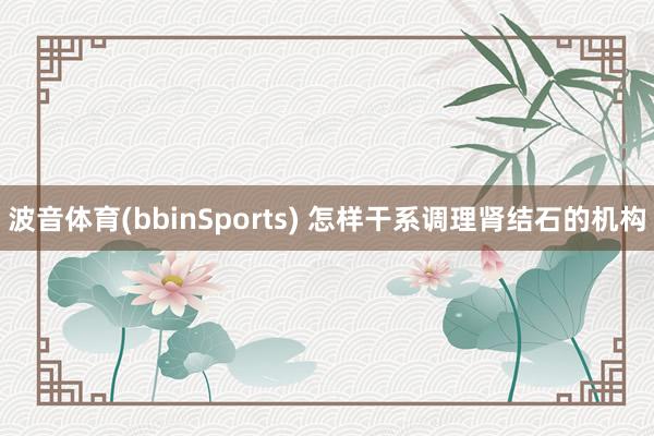 波音体育(bbinSports) 怎样干系调理肾结石的机构