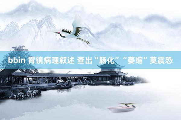 bbin 胃镜病理叙述 查出“肠化”“萎缩”莫震恐