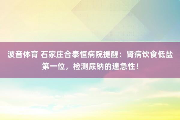 波音体育 石家庄合泰恒病院提醒：肾病饮食低盐第一位，检测尿钠的遑急性！