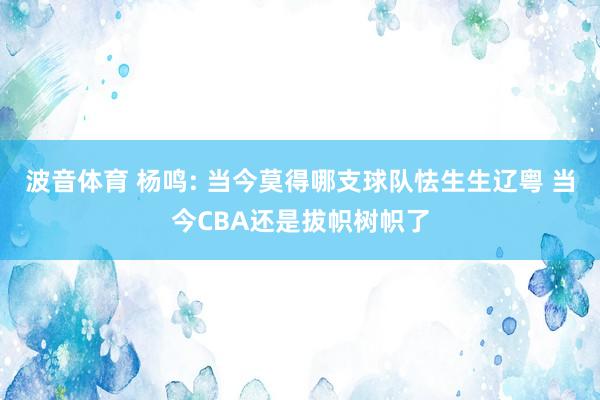 波音体育 杨鸣: 当今莫得哪支球队怯生生辽粤 当今CBA还是拔帜树帜了