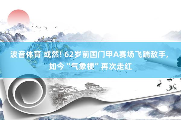 波音体育 或然! 62岁前国门甲A赛场飞踹敌手， 如今“气象梗”再次走红