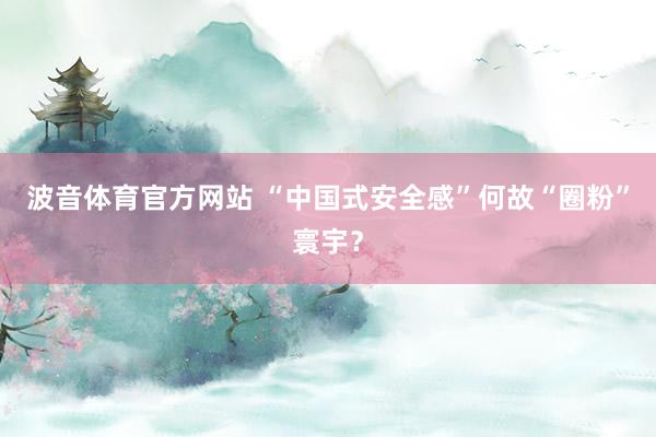 波音体育官方网站 “中国式安全感”何故“圈粉”寰宇？