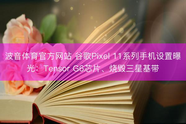 波音体育官方网站 谷歌Pixel 11系列手机设置曝光：Tensor G6芯片、烧毁三星基带